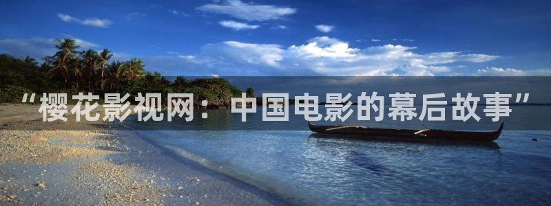 久久精品视频全部视频在线