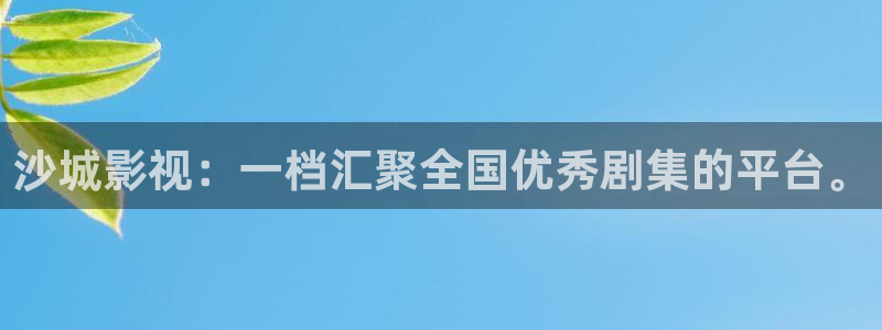 久久精品视频24