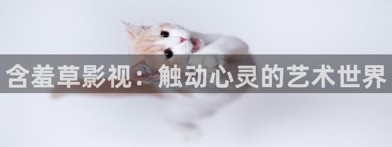久久国产精品免费视频