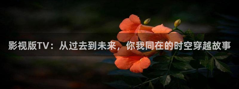 久久精品视频热播