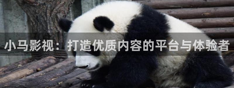 国产激情影院久久久