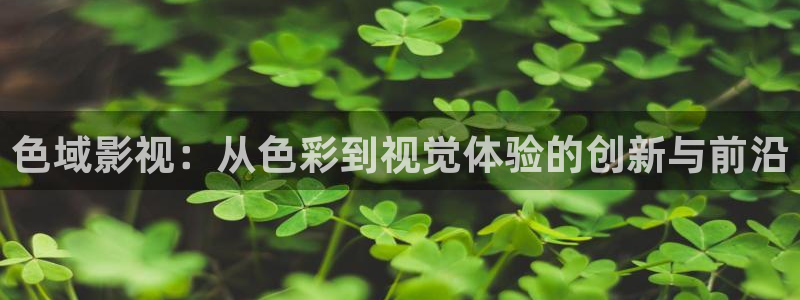 久久午夜精品电影网