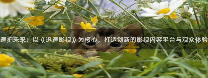 欧美日韩久久视频