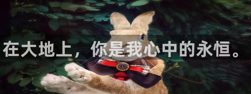 国产精品久久视频在线播放
