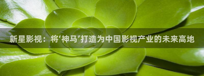 国产高清久久精品