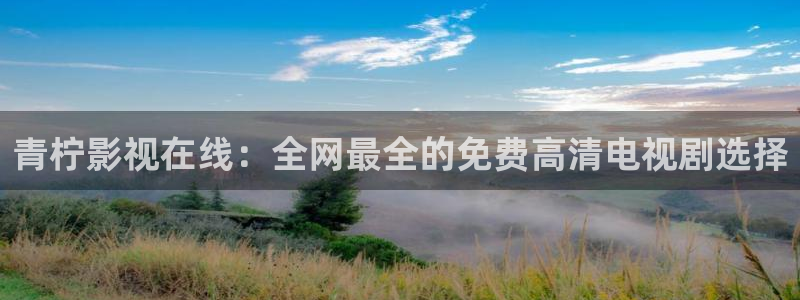 国内久久在线视频